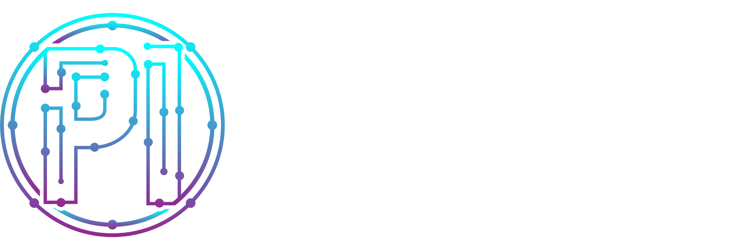 Practical Intelligence – Innovative Solutions To Unique Problems